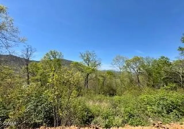 Photo 3 of Land for sale at 520 Stevia Way, Cosby, TN 37722 | MLS# 3519179 | Listing updated on 2026-09-11