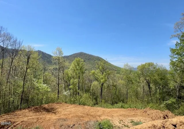 Photo 3 of Land for sale at 520 Stevia Way, Cosby, TN 37722 | MLS# 3519179 | Listing updated on 2026-09-11