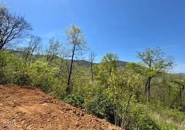 Photo 4 of Land for sale at 520 Stevia Way, Cosby, TN 37722 | MLS# 3519179 | Listing updated on 2026-09-11