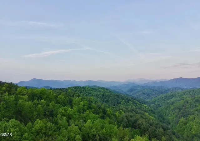 Photo 1 of Land for sale at 41 Black Maple Way, Del Rio, TN 37727 | MLS# 3548257 | Listing updated on 2026-09-23