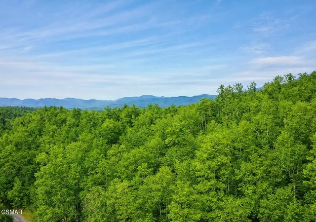 Photo 2 of Land for sale at 41 Black Maple Way, Del Rio, TN 37727 | MLS# 3548257 | Listing updated on 2026-09-23