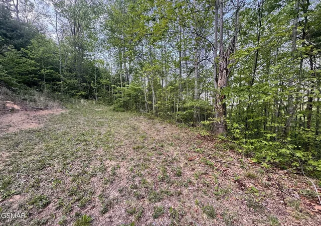 Photo 3 of Land for sale at 41 Black Maple Way, Del Rio, TN 37727 | MLS# 3548257 | Listing updated on 2026-09-23