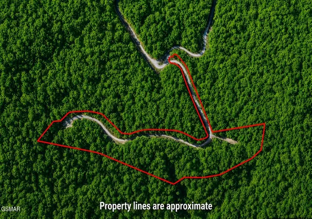Photo 4 of Land for sale at 41 Black Maple Way, Del Rio, TN 37727 | MLS# 3548257 | Listing updated on 2026-09-23