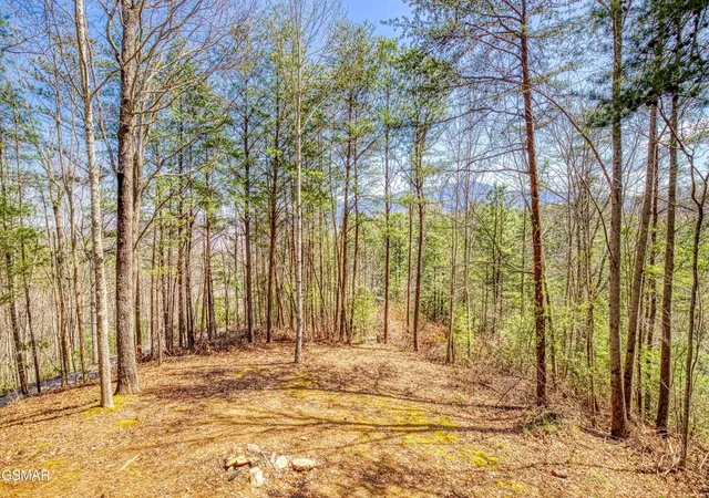 Photo 2 of Single family home for sale at 2752 Blue Springs Way, Sevierville, TN 37862 | MLS# 3523784 | Listing updated on 2026-09-11