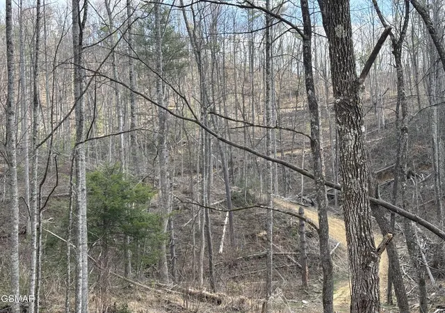 Photo 3 of Land for sale at 2 Bull Mountain Rd, Del Rio, TN 37727 | MLS# 3320304 | Listing updated on 2026-09-11