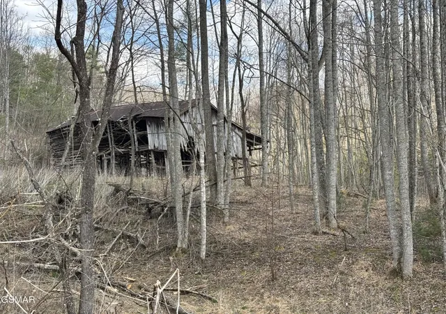 Photo 4 of Land for sale at 2 Bull Mountain Rd, Del Rio, TN 37727 | MLS# 3320304 | Listing updated on 2026-09-11