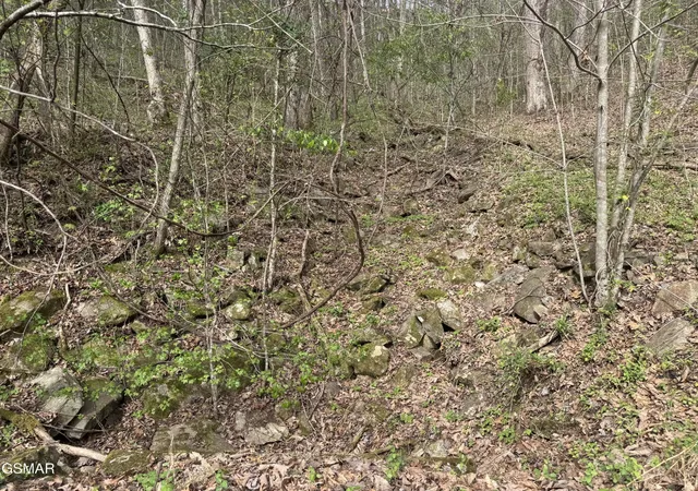 Photo 2 of Land for sale at 12 Whetstone Rd, Sevierville, TN 37862 | MLS# 3263093 | Listing updated on 2026-09-11