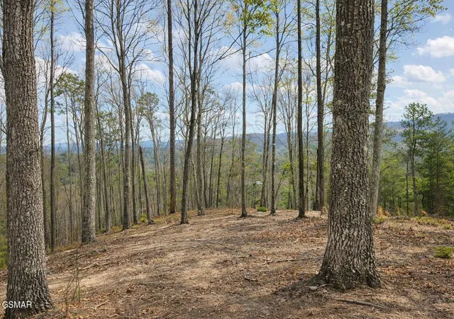 Photo 4 of Land for sale at 1 Sulpher Springs Way, Sevierville, TN 37876 | MLS# 3521111 | Listing updated on 2026-09-11