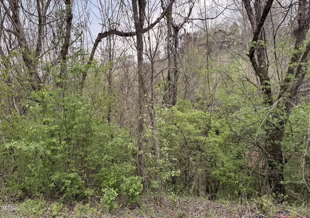 Photo 3 of Land for sale at 4 Hideaway Ridge Cir, Sevierville, TN 37862 | MLS# 3548300 | Listing updated on 2026-09-14