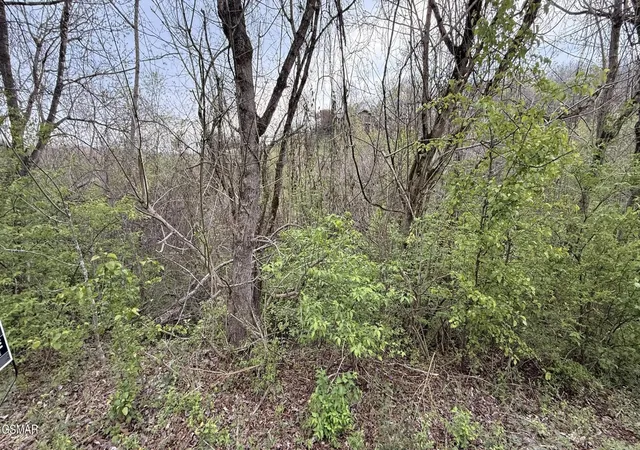 Photo 4 of Land for sale at 4 Hideaway Ridge Cir, Sevierville, TN 37862 | MLS# 3548300 | Listing updated on 2026-09-14