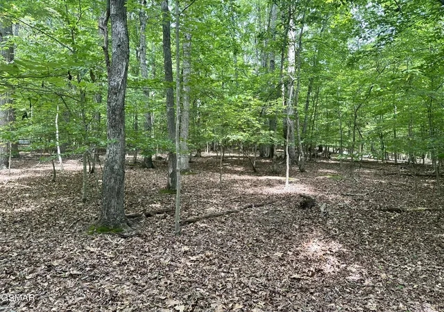 Photo 1 of Land for sale at 8 Woods Ridge Rd, Dandridge, TN 37725 | MLS# 3548305 | Listing updated on 2026-09-22