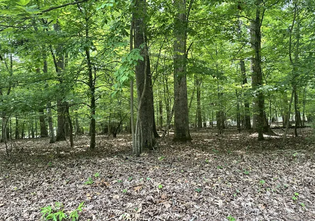Photo 2 of Land for sale at 8 Woods Ridge Rd, Dandridge, TN 37725 | MLS# 3548305 | Listing updated on 2026-09-22