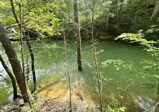 Photo 3 of Land for sale at 8 Woods Ridge Rd, Dandridge, TN 37725 | MLS# 3548305 | Listing updated on 2026-09-22