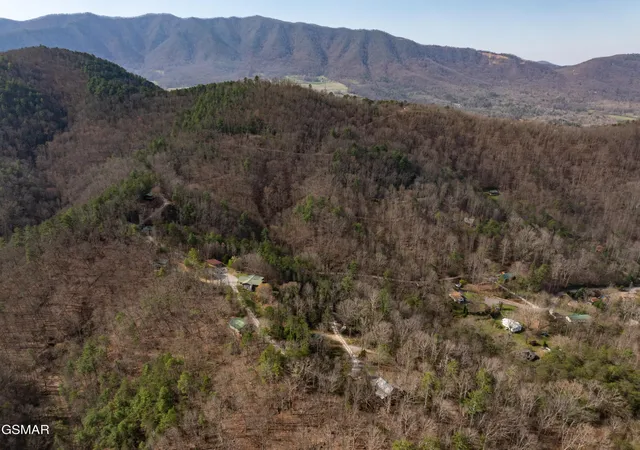 Photo 3 of Mansion for sale at 460 Boat Gunnel Rd, Townsend, TN 37882 | MLS# 3304425 | Listing updated on 2026-09-11