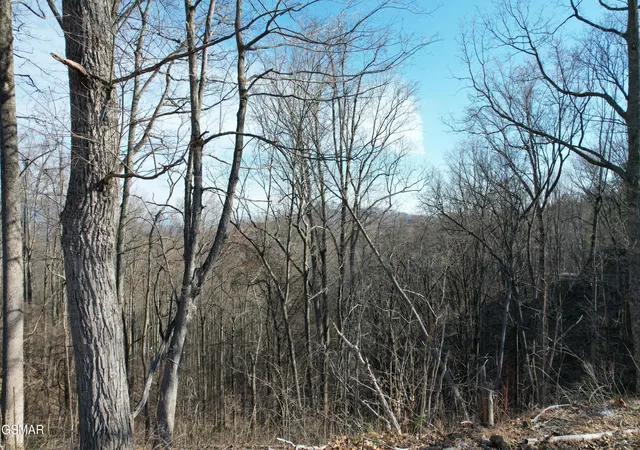 Photo 2 of Land for sale at 2 Spurling Way, Sevierville, TN 37862 | MLS# 3284086 | Listing updated on 2026-09-11