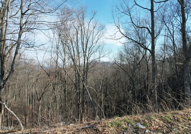 Photo 3 of Land for sale at 2 Spurling Way, Sevierville, TN 37862 | MLS# 3284086 | Listing updated on 2026-09-11