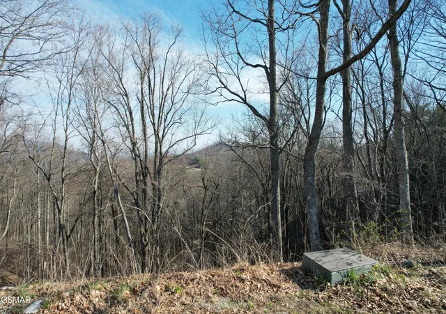 Photo 3 of Land for sale at 2 Spurling Way, Sevierville, TN 37862 | MLS# 3284086 | Listing updated on 2026-09-11