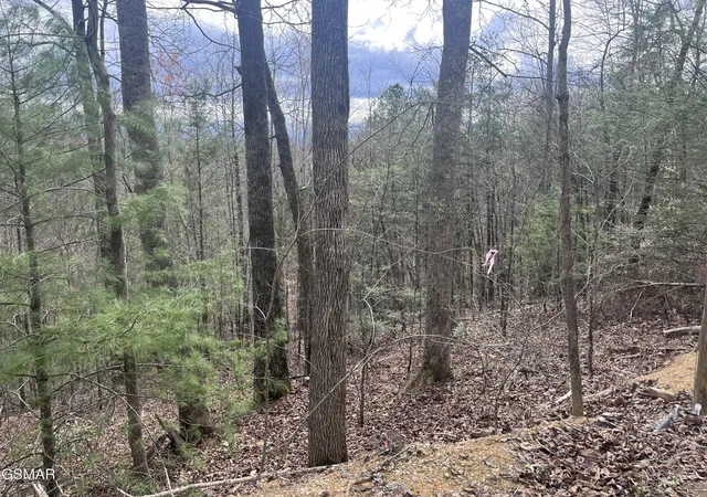 Photo 1 of Land for sale at 5554 71 Yellowwood Dr, Sevierville, TN 37876 | MLS# 3270070 | Listing updated on 2026-09-29