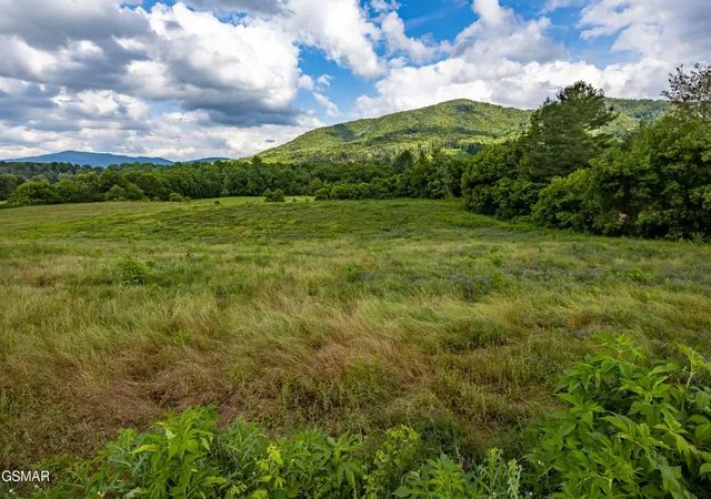 Land for sale at 32 Holders Grove Road, Cosby, TN 37722 | MLS# 3528634
