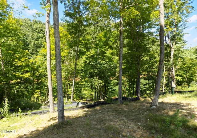 Photo 4 of Land for sale at 35 Graystone Shls, Morristown, TN 37814 | MLS# 3282560 | Listing updated on 2026-10-01