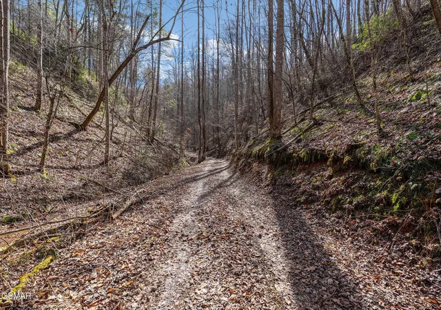 Photo 4 of Land for sale at 12 Paint Horse Way, Sevierville, TN 37876 | MLS# 3548362 | Listing updated on 2026-09-22