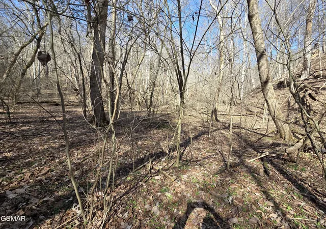 Photo 3 of Land for sale at 0 Baysinger Rd, Newport, TN 37821 | MLS# 3298233 | Listing updated on 2026-09-11