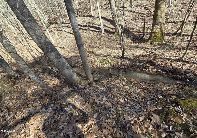 Photo 3 of House for sale at 0 Baysinger Rd, Newport, TN 37821 | MLS# 3298233 | Listing updated on 2026-09-11