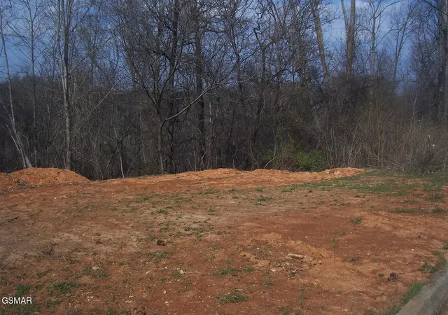 Photo 1 of Land for sale at 141 Low Valley Rd, Dandridge, TN 37725 | MLS# 3304087 | Listing updated on 2026-09-11