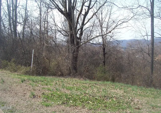 Photo 2 of Land for sale at 141 Low Valley Rd, Dandridge, TN 37725 | MLS# 3304087 | Listing updated on 2026-09-11