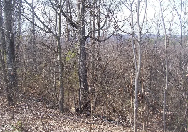 Photo 3 of Land for sale at 141 Low Valley Rd, Dandridge, TN 37725 | MLS# 3304087 | Listing updated on 2026-09-11