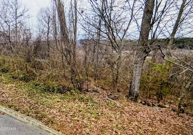 Photo 3 of Land for sale at 141 Low Valley Rd, Dandridge, TN 37725 | MLS# 3304087 | Listing updated on 2026-09-11