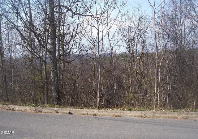 Photo 3 of Land for sale at 142 Low Valley Rd, Dandridge, TN 37725 | MLS# 3304083 | Listing updated on 2026-09-11
