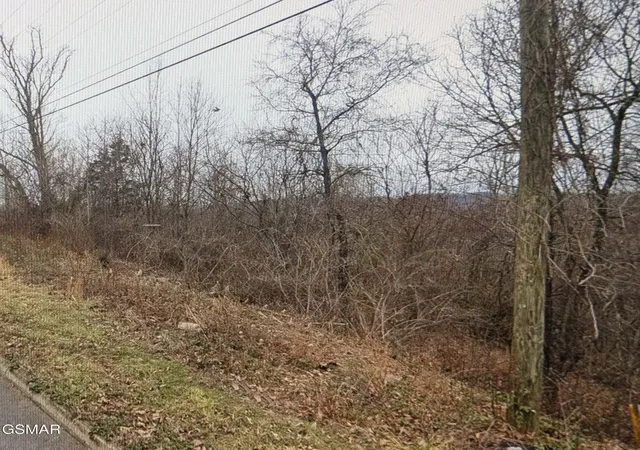 Photo 4 of Land for sale at 142 Low Valley Rd, Dandridge, TN 37725 | MLS# 3304083 | Listing updated on 2026-09-11