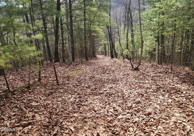 Photo 3 of Land for sale at 0 Dockery Branch Rd, Sevierville, TN 37876 | MLS# 3288548 | Listing updated on 2026-09-11