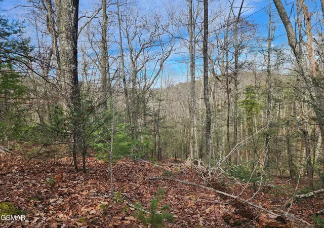 Photo 3 of Land for sale at 0 Dockery Branch Rd, Sevierville, TN 37876 | MLS# 3288548 | Listing updated on 2026-09-11