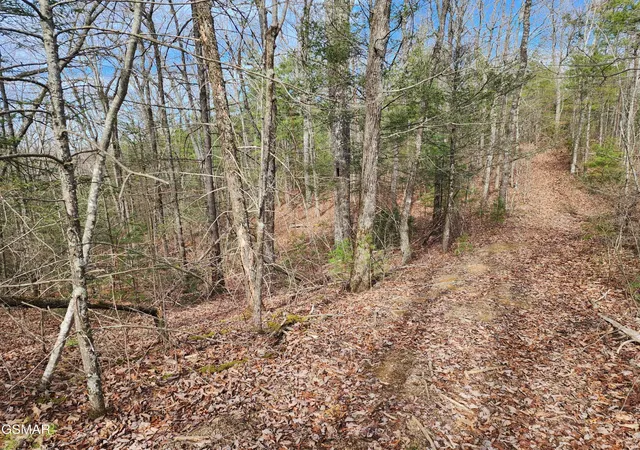 Photo 4 of Land for sale at 0 Dockery Branch Rd, Sevierville, TN 37876 | MLS# 3288548 | Listing updated on 2026-09-11