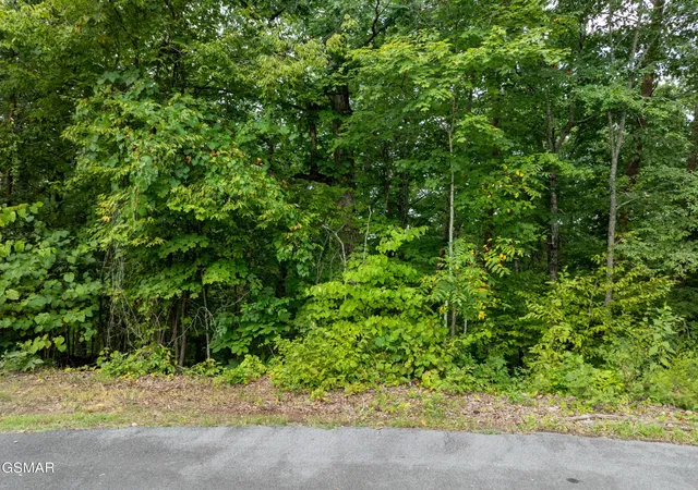 Photo 3 of Land for sale at 56 Blue Byrd Ln, Kodak, TN 37764 | MLS# 3548371 | Listing updated on 2026-09-14