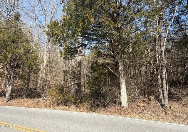 Photo 4 of Land for sale at 3 Kellum Crk Rd, Sevierville, TN 37876 | MLS# 3510541 | Listing updated on 2026-09-11