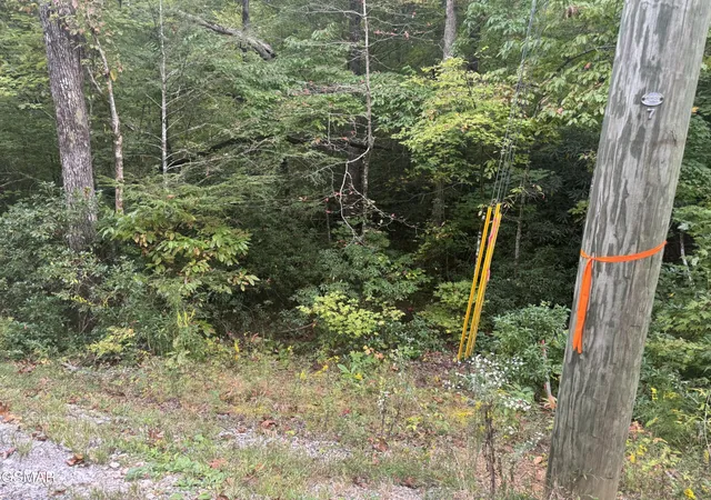 Photo 3 of Land for sale at 714 Pinnacle Vista Rd, Gatlinburg, TN 37738 | MLS# 3548390 | Listing updated on 2026-09-14