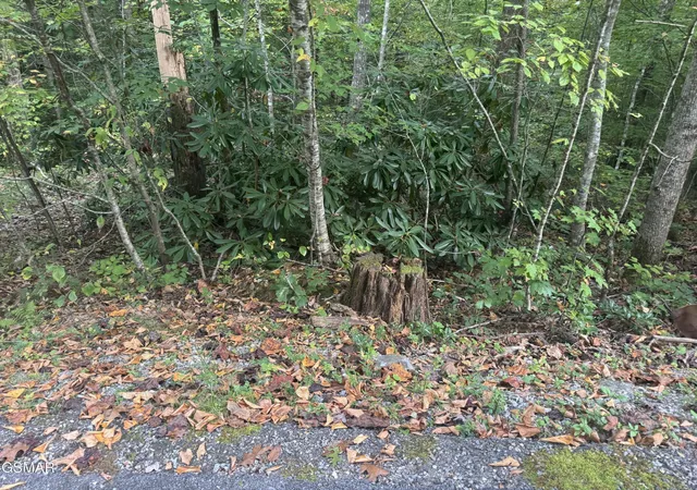 Photo 4 of Land for sale at 714 Pinnacle Vista Rd, Gatlinburg, TN 37738 | MLS# 3548390 | Listing updated on 2026-09-14