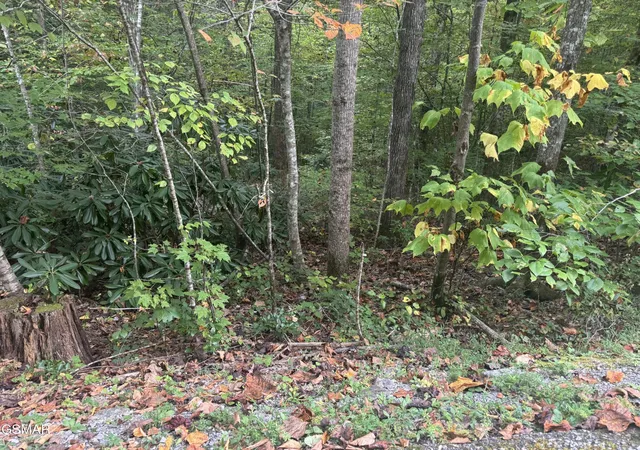Photo 3 of Land for sale at 27 Pinnacle Vista Rd, Gatlinburg, TN 37738 | MLS# 3548391 | Listing updated on 2026-09-14