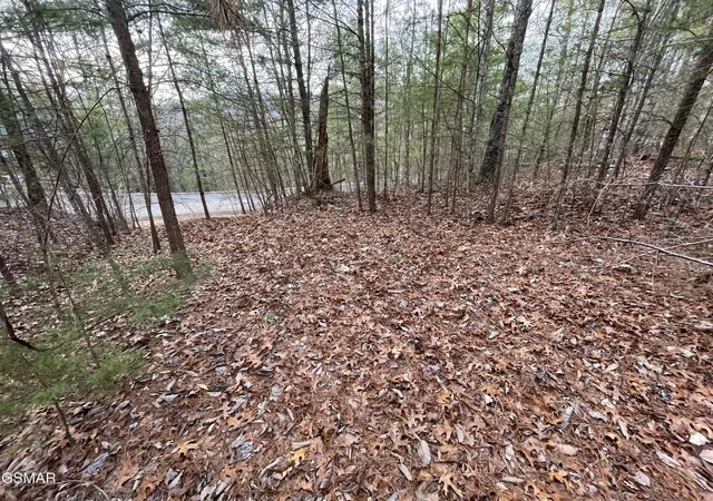 Photo 1 of Land for sale at 79 Whetstone Rd, Sevierville, TN 37862 | MLS# 3284088 | Listing updated on 2026-09-11
