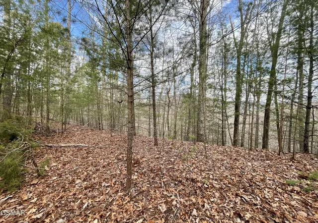 Photo 2 of Land for sale at 79 Whetstone Rd, Sevierville, TN 37862 | MLS# 3284088 | Listing updated on 2026-09-11