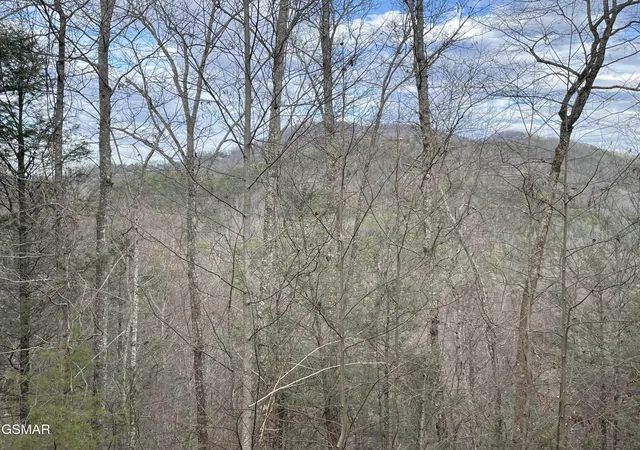 Photo 4 of Land for sale at 79 Whetstone Rd, Sevierville, TN 37862 | MLS# 3284088 | Listing updated on 2026-09-11