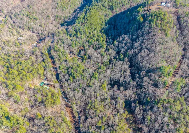 Photo 3 of Land for sale at 0 Old Hickory Rd, Tellico Plains, TN 37385 | MLS# 3278293 | Listing updated on 2026-09-11