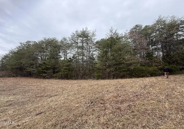 Land for sale at 0 Off Allen Chapel Rd, Parrottsville, TN 37843 | MLS# 3320299