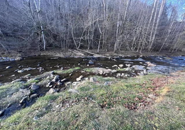 Photo 3 of Land for sale at 0 Blue Ml Rd, Del Rio, TN 37727 | MLS# 3302095 | Listing updated on 2026-09-11