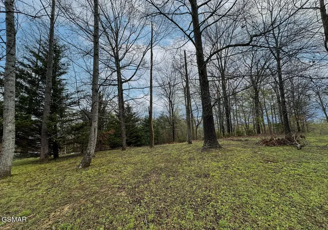 Photo 4 of Land for sale at 0 David Swann Dr, Dandridge, TN 37725 | MLS# 3309984 | Listing updated on 2026-09-11
