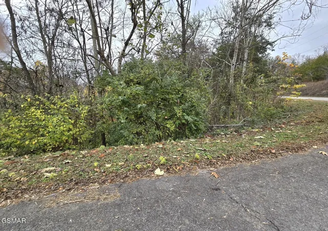 Photo 1 of Land for sale at 17 Scott Street, Sevierville, TN 37876 | MLS# 3278473 | Listing updated on 2026-10-09