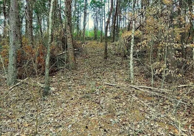 Photo 2 of Land for sale at 17 Scott Street, Sevierville, TN 37876 | MLS# 3278473 | Listing updated on 2026-10-09